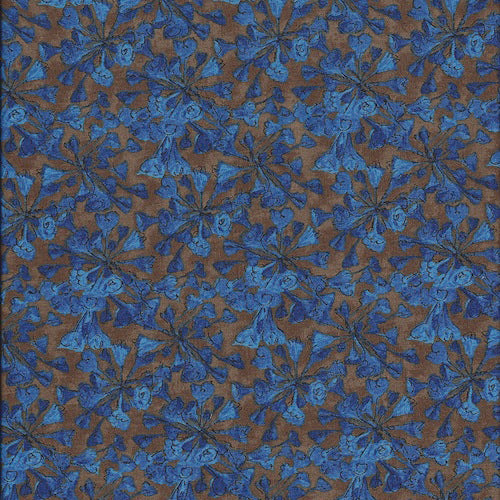 Backyard Nature Study - Bluebell