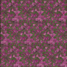 Backyard Nature Study Line Pack