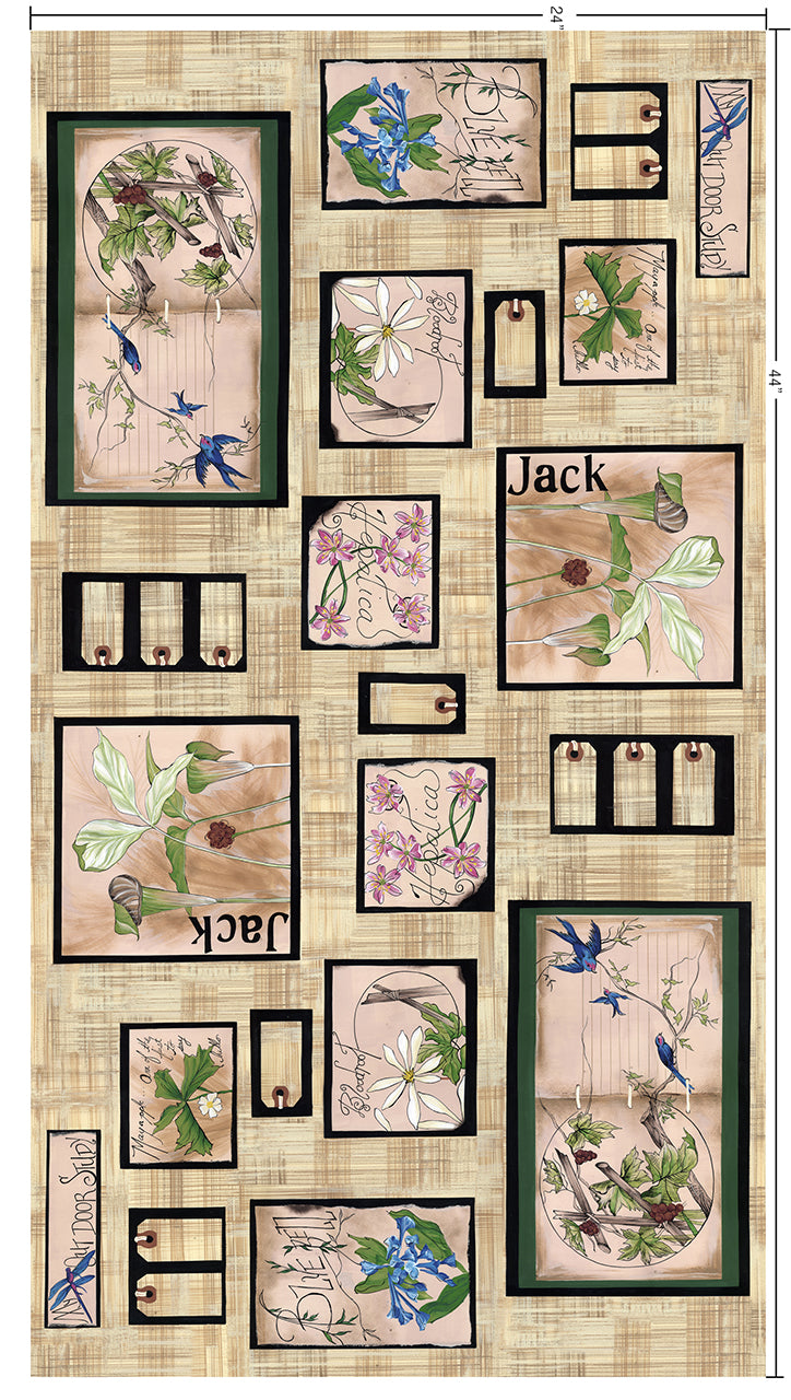 Backyard Nature Study - Outdoor Study Light