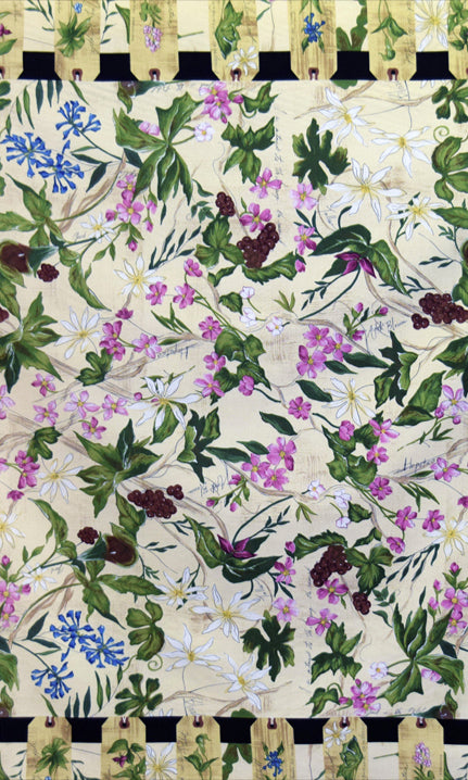 Backyard Nature Study - Intertwined Light