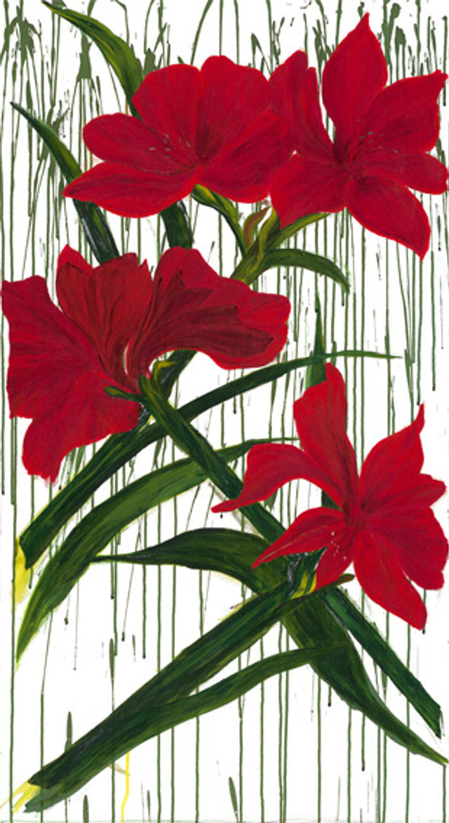 Winter Garden - Amaryllis Snow