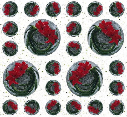 Winter Garden - Amaryllis Window Snow