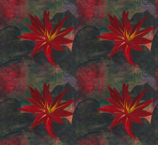 Winter Garden - Stargazer Lily