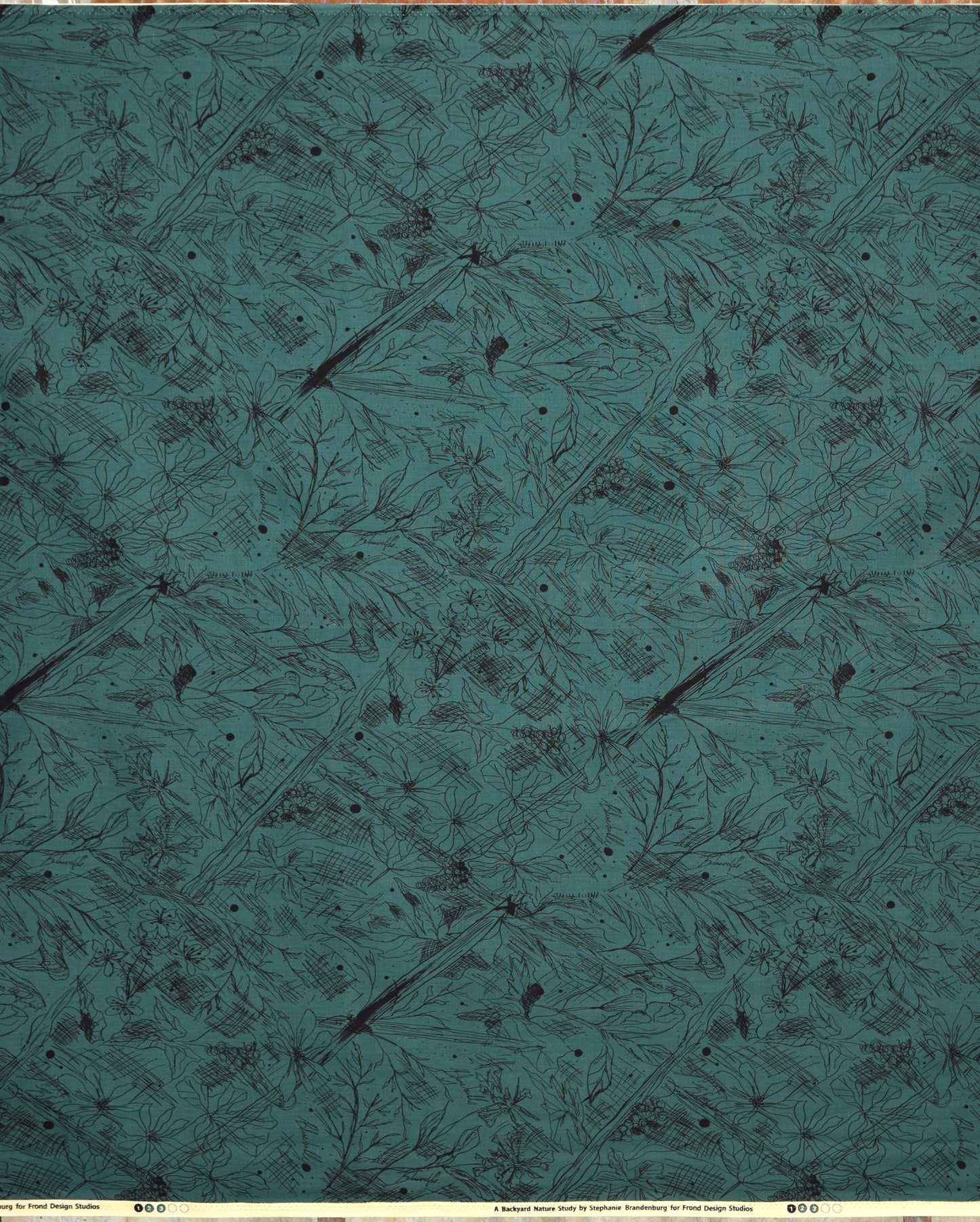 Backyard Nature Study - Pen and Ink Breathe