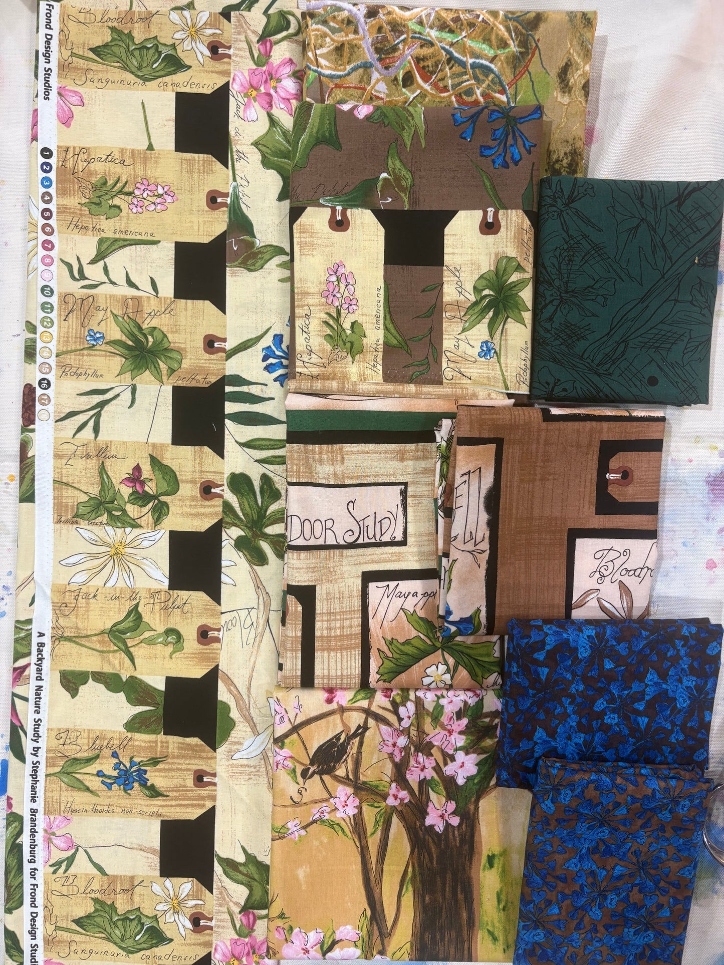 Backyard Nature Study Panel Pack and MORE! + 1/2 yard cuts